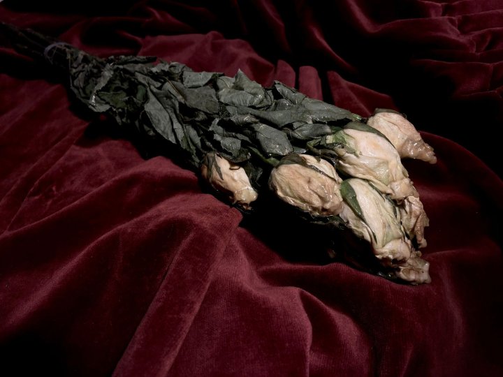 Maya Fujii / Bouquet of roses,60x12cm, White roses, Latex solution, 2026